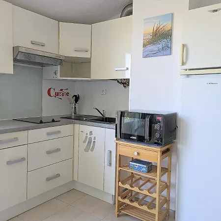 Appartement Proche Port Et Mer Avec Wifi Et Climatisation Agde Buitenkant foto